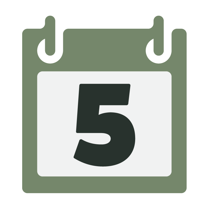 Your Daily Five